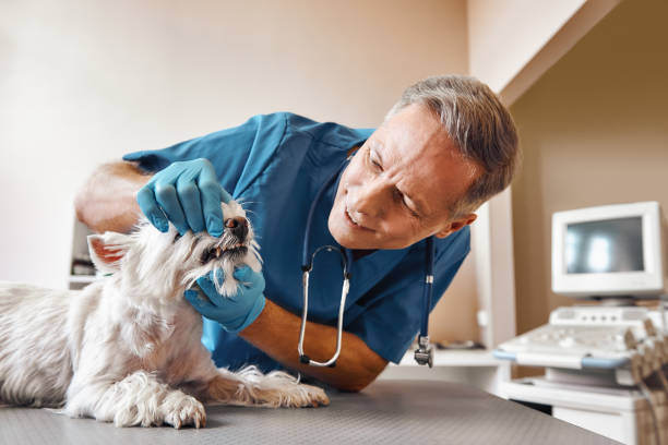 Best Emergency Tooth Extraction in Auburn, KY